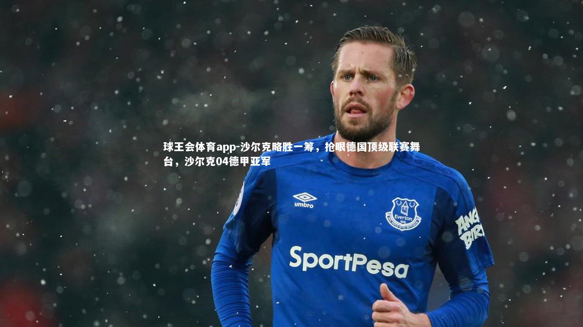 沙尔克略胜一筹，抢眼德国顶级联赛舞台，沙尔克04德甲亚军
