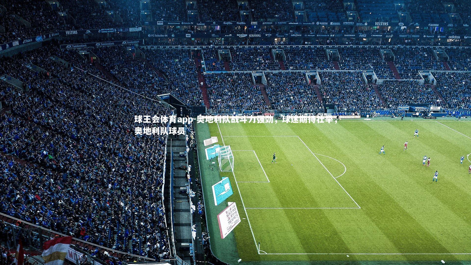 奥地利队战斗力强劲，球迷期待壮举，奥地利队球员