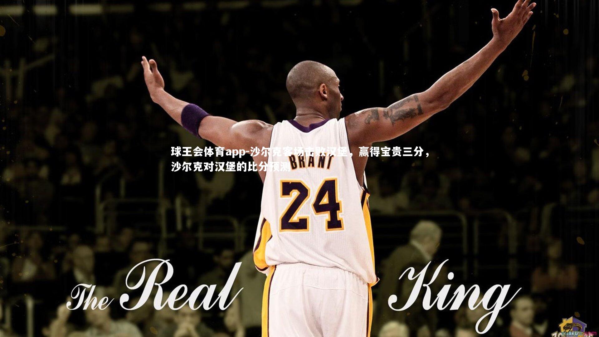 沙尔克客场击败汉堡，赢得宝贵三分，沙尔克对汉堡的比分预测