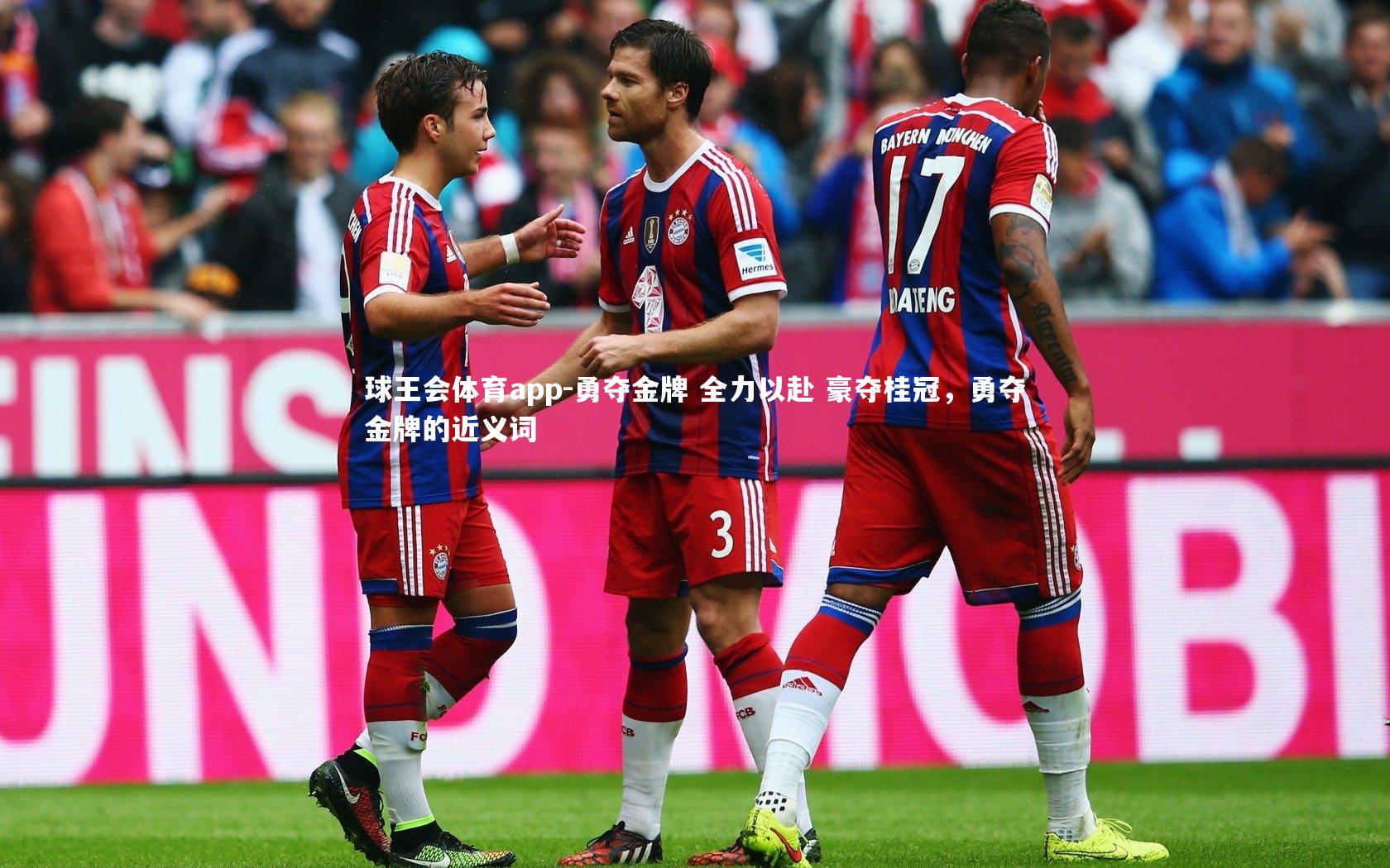 勇夺金牌 全力以赴 豪夺桂冠,勇夺金牌的近义词