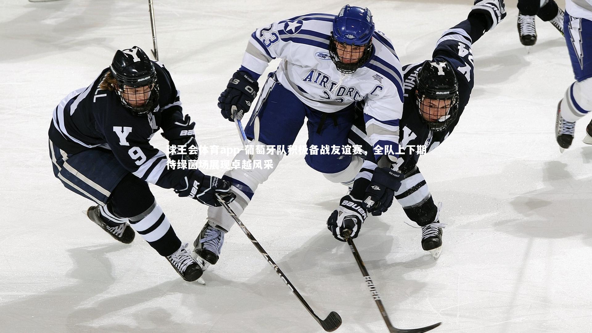 葡萄牙队积极备战友谊赛,全队上下期待绿茵场展现卓越风采